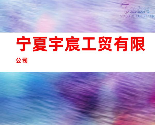 宁夏宇宸工贸有限公司